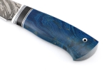 Нож Таран (D2, карельская берёза синяя) - Нож Таран (D2, карельская берёза синяя)