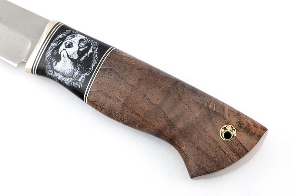 Нож Стрела дамаск нержавеющий, рог буйвола (скримшоу) кап клена коричневый, формованные ножны